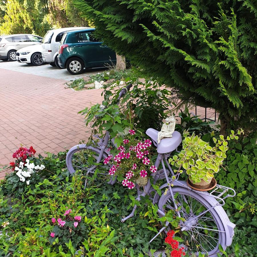 Alabastrom Panzio Es Etterem Bed & Breakfast Bogacs Bagian luar foto