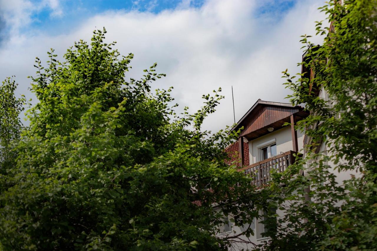 Alabastrom Panzio Es Etterem Bed & Breakfast Bogacs Bagian luar foto