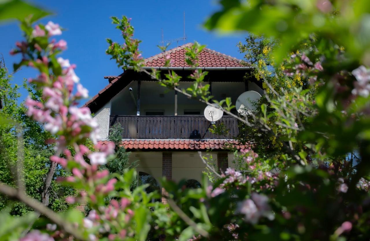 Alabastrom Panzio Es Etterem Bed & Breakfast Bogacs Bagian luar foto