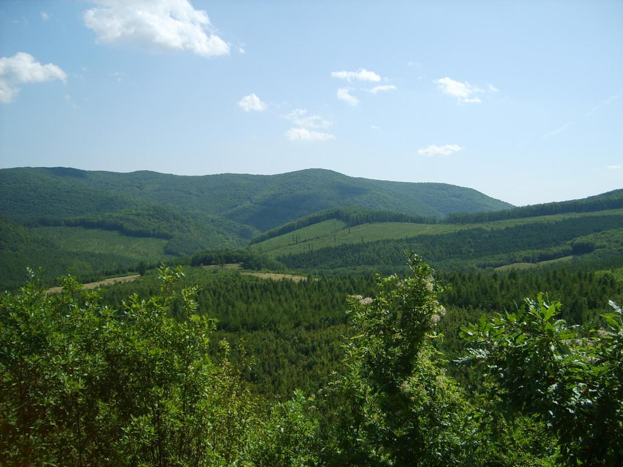 Alabastrom Panzio Es Etterem Bed & Breakfast Bogacs Bagian luar foto