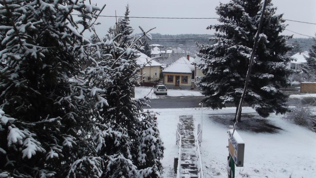 Alabastrom Panzio Es Etterem Bed & Breakfast Bogacs Bagian luar foto